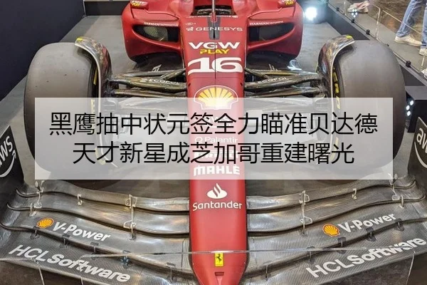 黑鹰抽中状元签全力瞄准贝达德 天才新星成芝加哥重建曙光