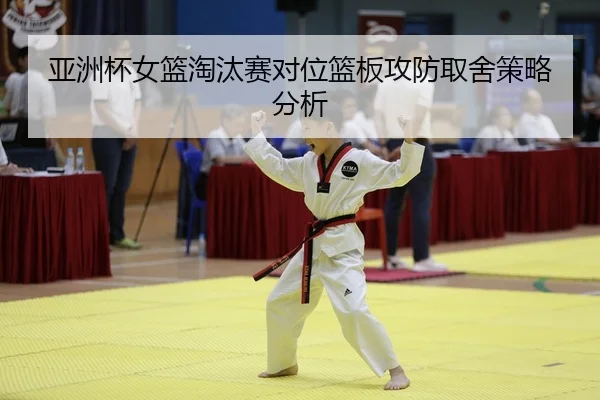 ya-zhou-bei-nv-lan-tao-tai-sai-dui-wei-lan-ban-gong-fang-qu-she-ce-lve-fen-xi-2-247.jpg